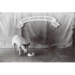 GEOFF WINNINGHAM, (American, b. 1943), TWO IMAGES:, LIVESTOCK SHOW, HOUSTON (1972) & RECREATION O...