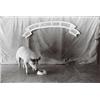 Image 1 : GEOFF WINNINGHAM, (American, b. 1943), TWO IMAGES:, LIVESTOCK SHOW, HOUSTON (1972) & RECREATION O...