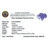 Image 2 : 28.24ctw Pear Mixed Amethyst Parcel