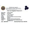 Image 2 : 16.52ctw Oval Cut Sapphire Parcel