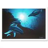Image 1 : Whale Vision by Wyland