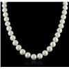 Image 1 : 14KT White Gold Pearl Necklace