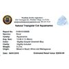Image 2 : 5.27ctw Triangle Aquamarine Parcel
