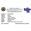 Image 2 : 31.6ctw Pear Mixed Amethyst Parcel