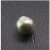 Image 1 : Cultured South Sea Golden Pearl Parcel 1 Gemstones 12ctw