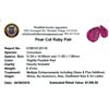Image 2 : 9.47ctw Pear Mixed Ruby Parcel