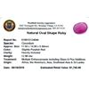 Image 2 : 12.96ctw Oval Ruby Parcel
