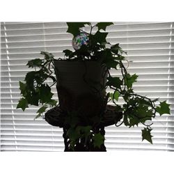 German Ivy & Plant Stand