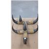 Image 1 : Buffalo Horn Hat Rack
