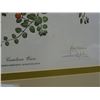 Image 2 : Artist Signed Carolina Wren Print