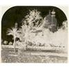 Image 1 : DR. JOHN MURRAY, (British, 1809-1898), (THE TAJ MAHAL FROM THE SOUTHEAST GARDENS WITH TREES IN TH...