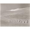 Image 1 : EDWARD WESTON, (American, 1886-1958), white sands, new mexico, initialed and dated "EW 1941", in ...