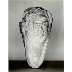 EDWARD WESTON, (American, 1886-1958), CHARD, signed, dated, initialed and numbered "11/50" in pen...
