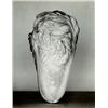 Image 1 : EDWARD WESTON, (American, 1886-1958), CHARD, signed, dated, initialed and numbered "11/50" in pen...