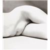 Image 1 : IRVING PENN, (American, b. 1917), NUDE NO. 62, signed "Irving Penn" and titled, "NUDE 62" in penc...