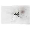 Image 1 : WILLIAM EGGLESTON, (American, b. 1939), UNTITLED (WASHINGTON D.C.), signed in black ink below ima...