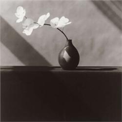 ROBERT MAPPLETHORPE, (American, 1946-1989), ORCHID, numbered, titled, dated and editioned "#937 O...