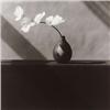Image 1 : ROBERT MAPPLETHORPE, (American, 1946-1989), ORCHID, numbered, titled, dated and editioned "#937 O...