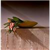 Image 1 : ROBERT MAPPLETHORPE, (American, 1946-1989), TULIPS, editioned, signed and dated, "5/7 Robert Mapp...