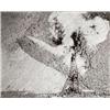 Image 1 : VIK MUNIZ, (Brazilian, b. 1961), DISASTER (PICTURES OF INK), titled, signed, dated and editioned ...