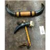 Image 1 : Steer Horn Rattle and Decorative Steer Horns