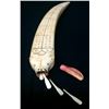 Image 1 : Circa 1950 Walrus Tusk Cribbage Board