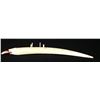 Image 2 : Circa 1950 Walrus Tusk Cribbage Board
