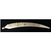 Image 9 : Circa 1950 Walrus Tusk Cribbage Board