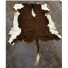 Image 1 : Vintage Cowhide Rug