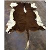 Image 3 : Vintage Cowhide Rug