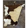 Image 4 : Vintage Cowhide Rug