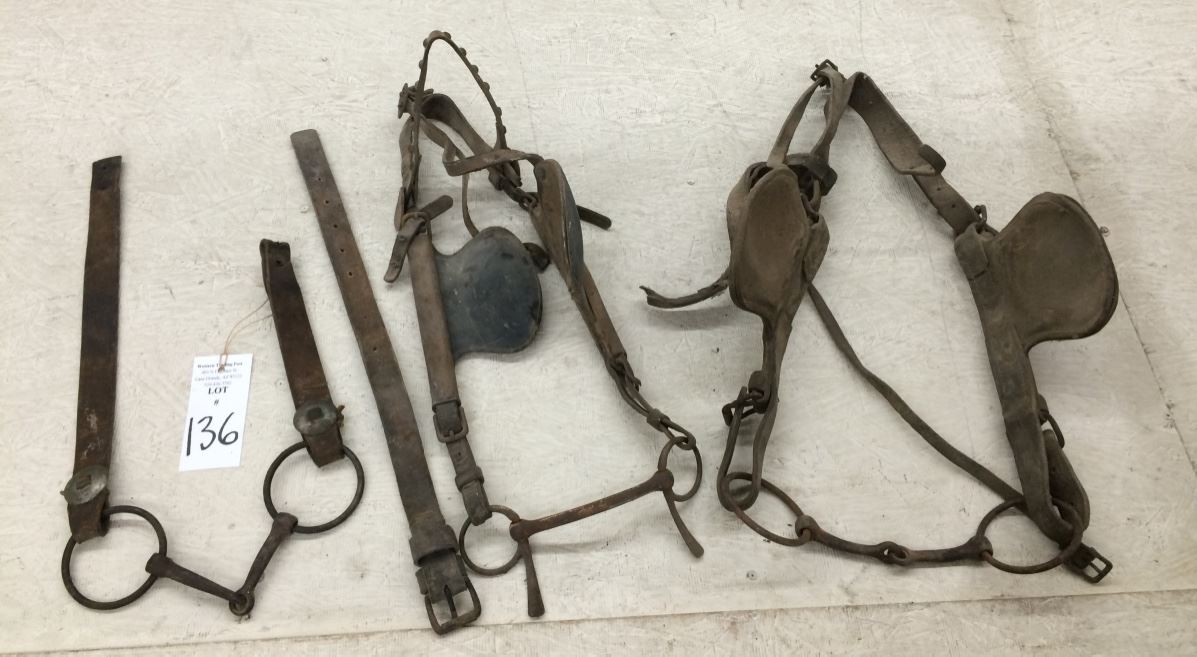 Group of 3 Draft Horse Bridles & Bits From Museum