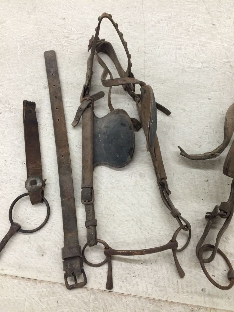 Group of 3 Draft Horse Bridles & Bits From Museum