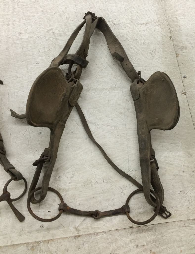 Group of 3 Draft Horse Bridles & Bits From Museum