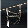 Image 1 : Silver Mounted Show Halter