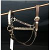 Image 2 : Silver Mounted Show Halter