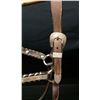Image 3 : Silver Mounted Show Halter