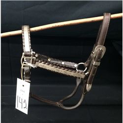 Another Silver Mounted Show Halter