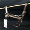 Image 1 : Another Silver Mounted Show Halter