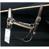 Image 2 : Another Silver Mounted Show Halter