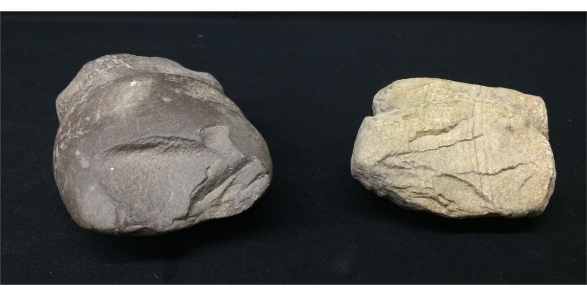 Pair of Prehistoric Stone Axe Heads From Museum