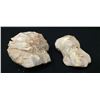 Image 3 : Pair of Hand Axes from Relics Museum
