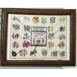 Native Dye Chart Picture For Navajo Textiles