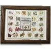 Image 1 : Native Dye Chart Picture For Navajo Textiles