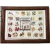 Image 3 : Native Dye Chart Picture For Navajo Textiles