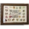 Image 5 : Native Dye Chart Picture For Navajo Textiles
