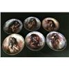 Image 1 : Group of 6 Collector Plates, Native American Theme