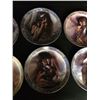 Image 3 : Group of 6 Collector Plates, Native American Theme