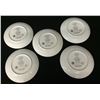 Image 5 : Group of 5 Collector Plates, Native American Theme