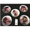 Image 6 : Group of 5 Collector Plates, Native American Theme